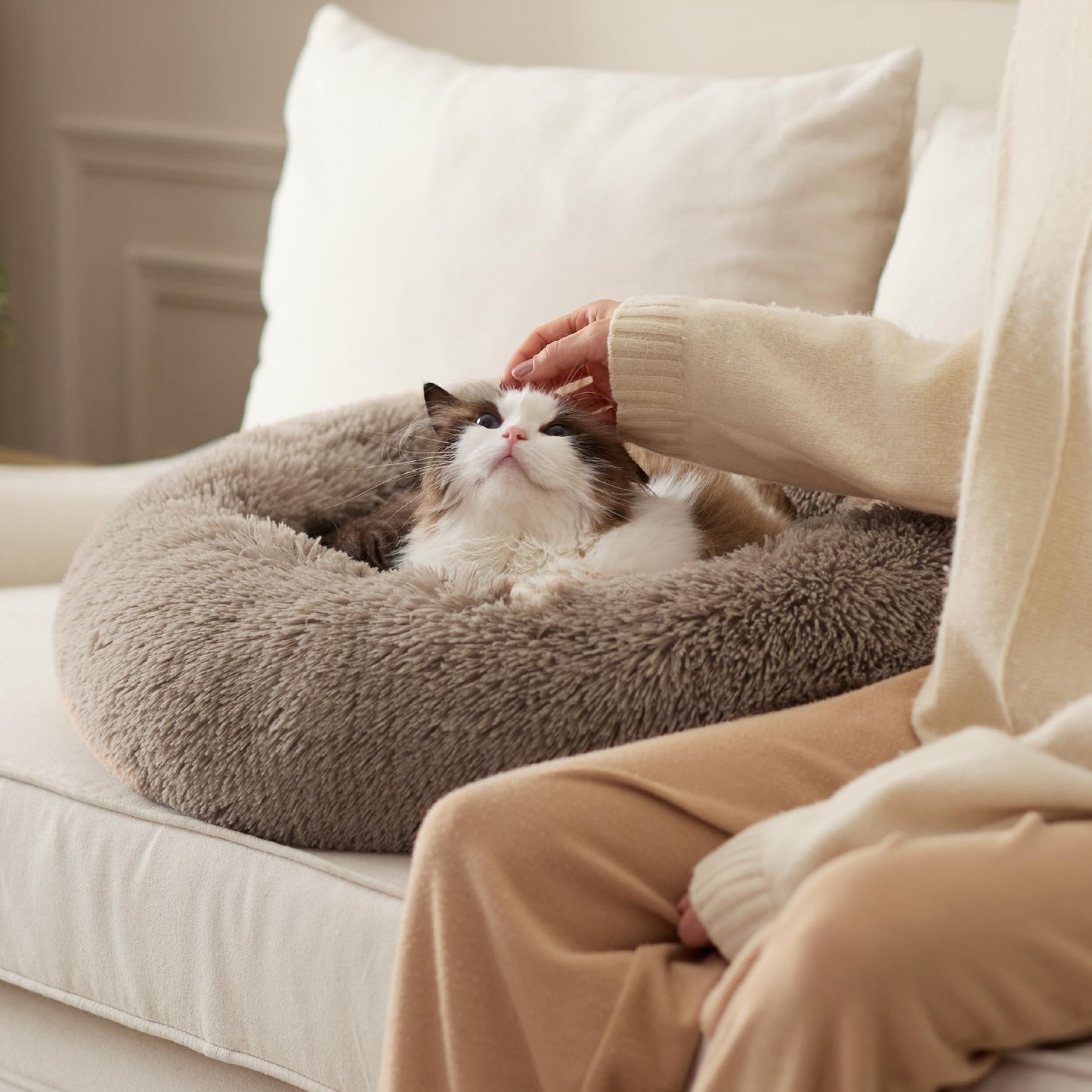 Mikrhaus – Panier rond Ø 50 cm, lit flausch en peluche lavable pour chats et petits chiens (Camel)