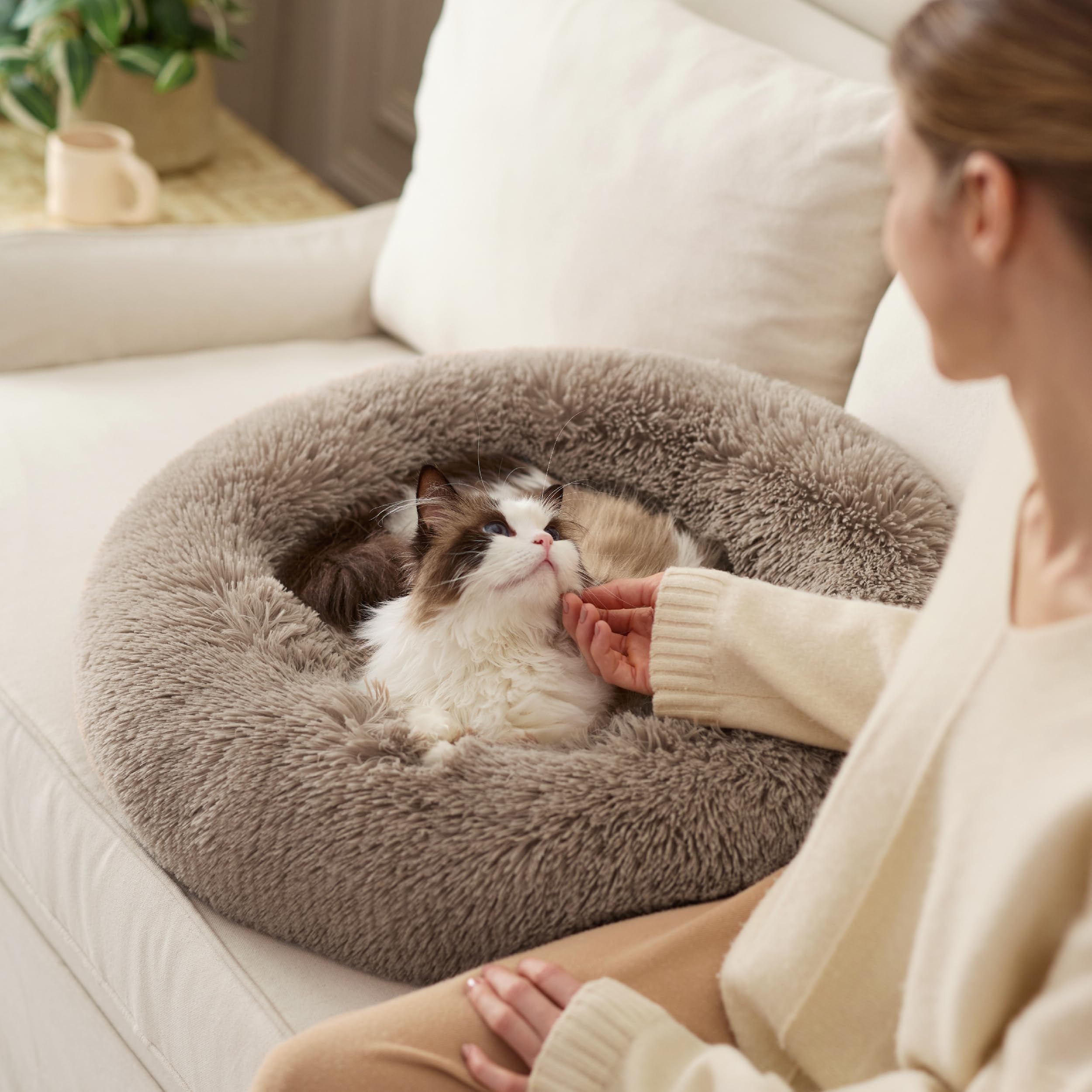 Mikrhaus – Panier rond Ø 50 cm, lit flausch en peluche lavable pour chats et petits chiens (Camel)