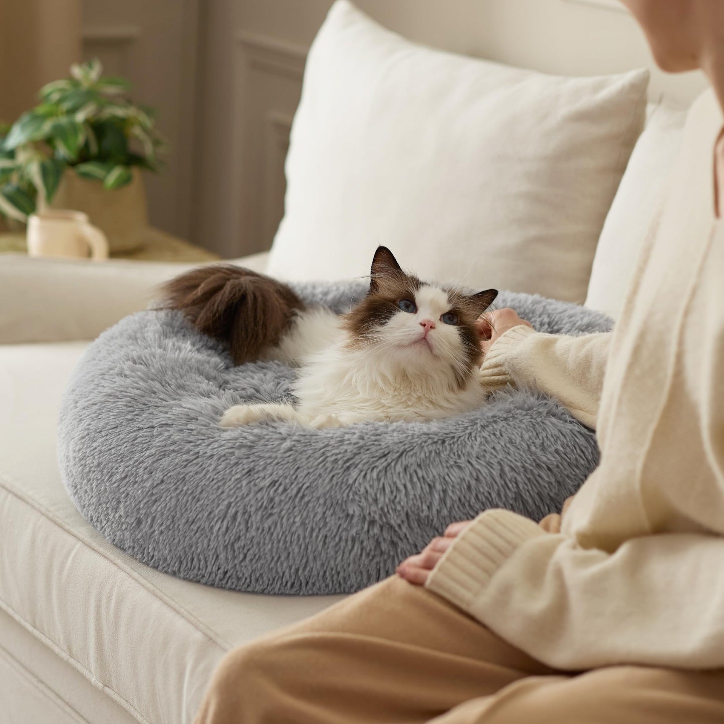 Mikrhaus – Panier rond Ø 60 cm, lit douillet en peluche lavable pour chats et petits chiens