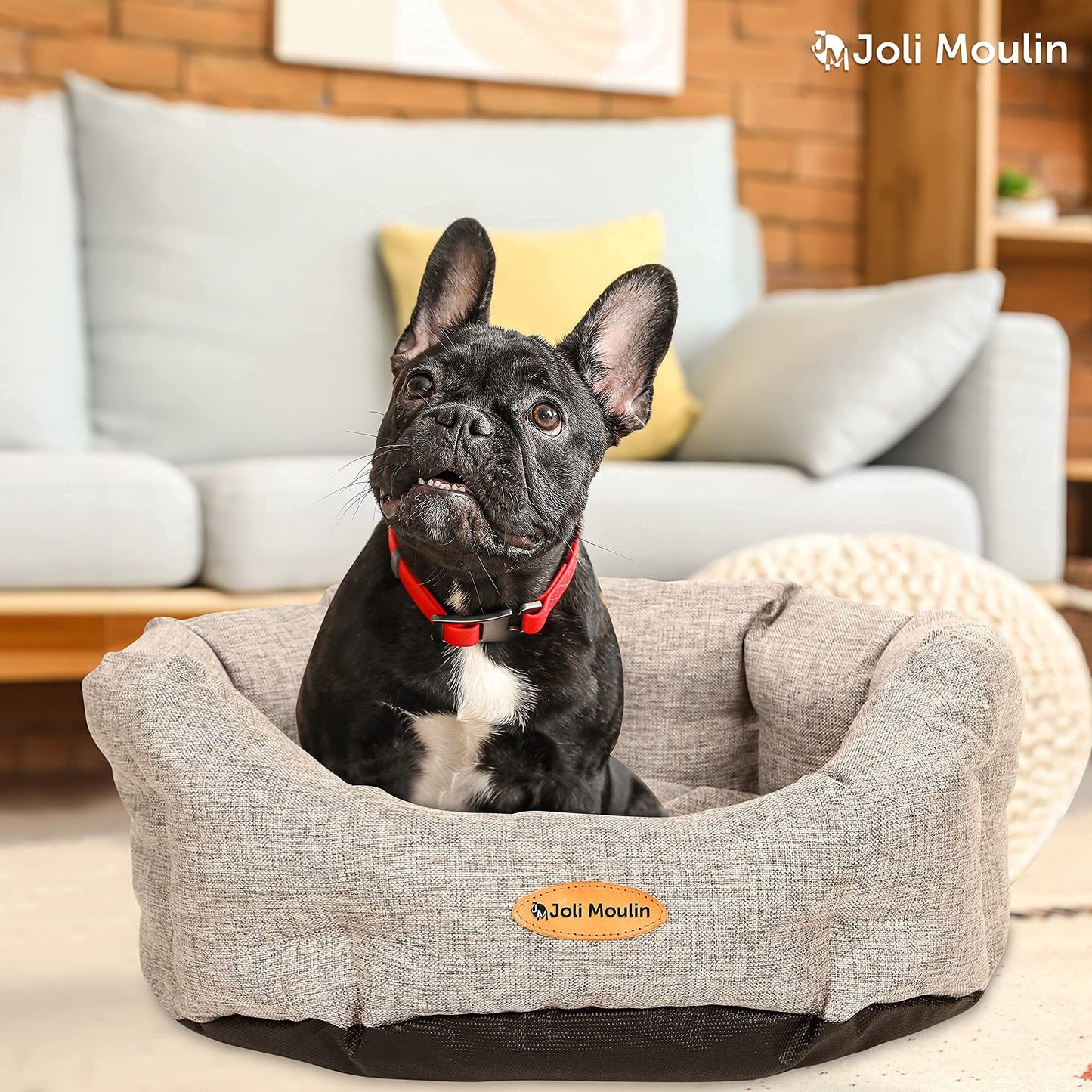 Mikrhaus – Panier rond pour chat, lit antidérapant avec coussin réversible amovible, lavable